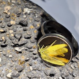 ANILLO TOXO MIDI