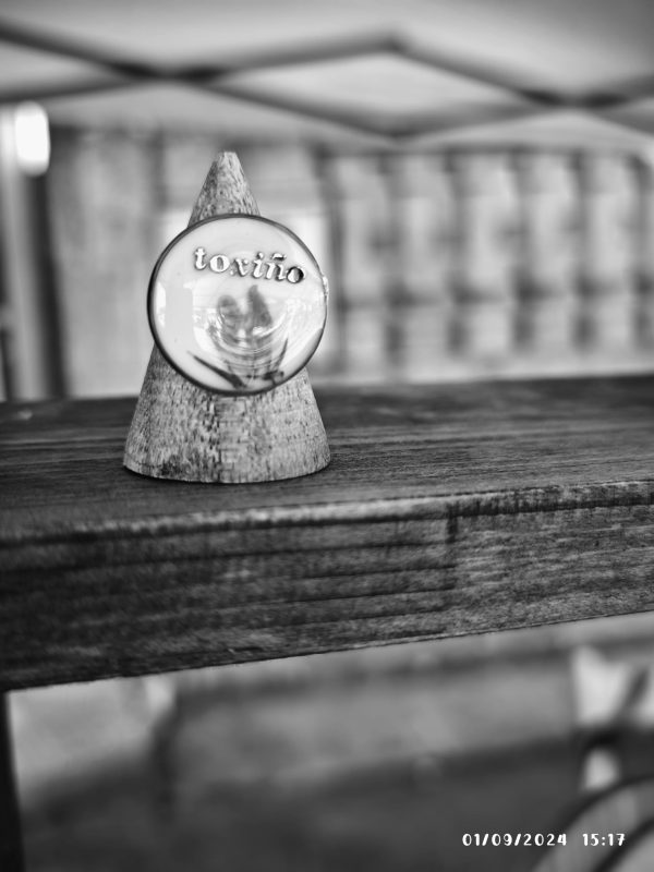 Anillo Toxiño - Imagen 2