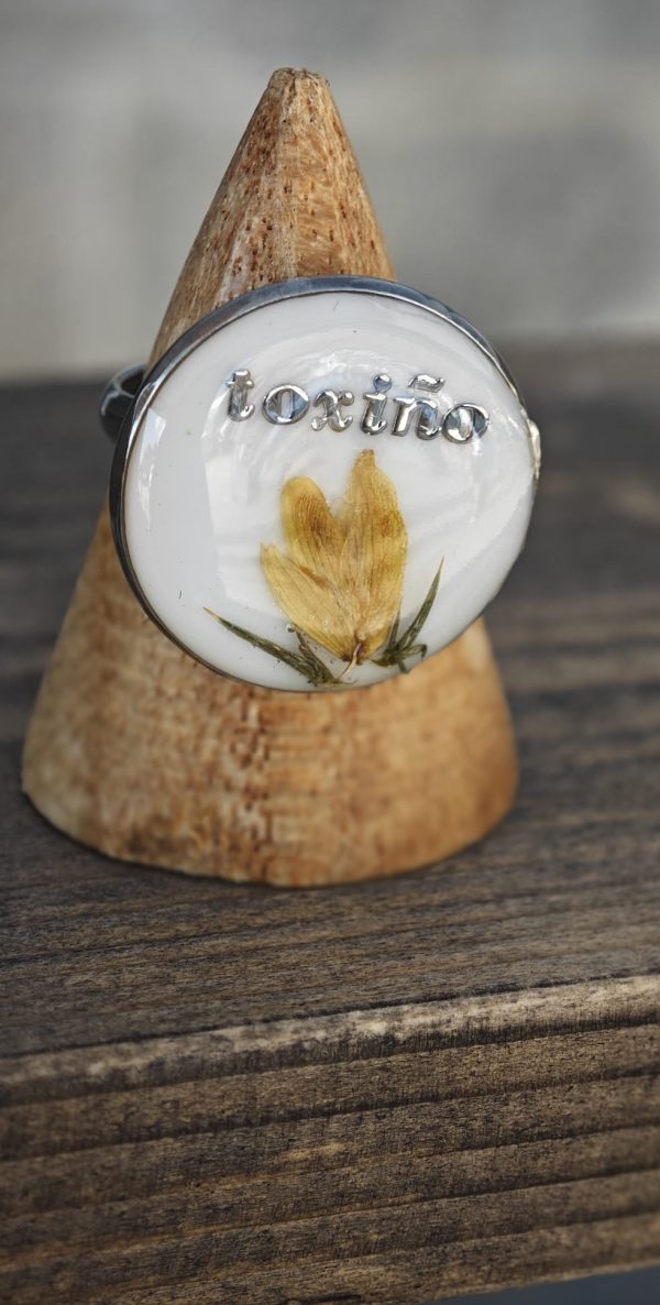Anillo Toxiño - Imagen 3