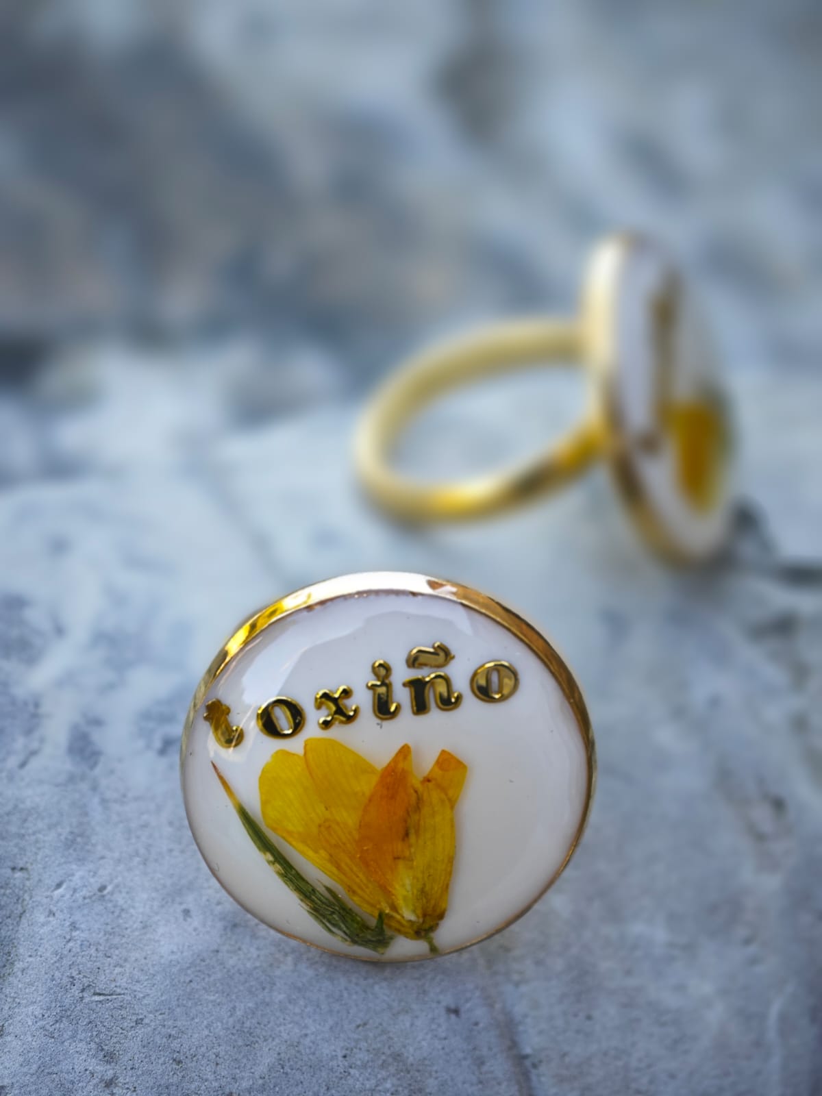Anillo Toxiño