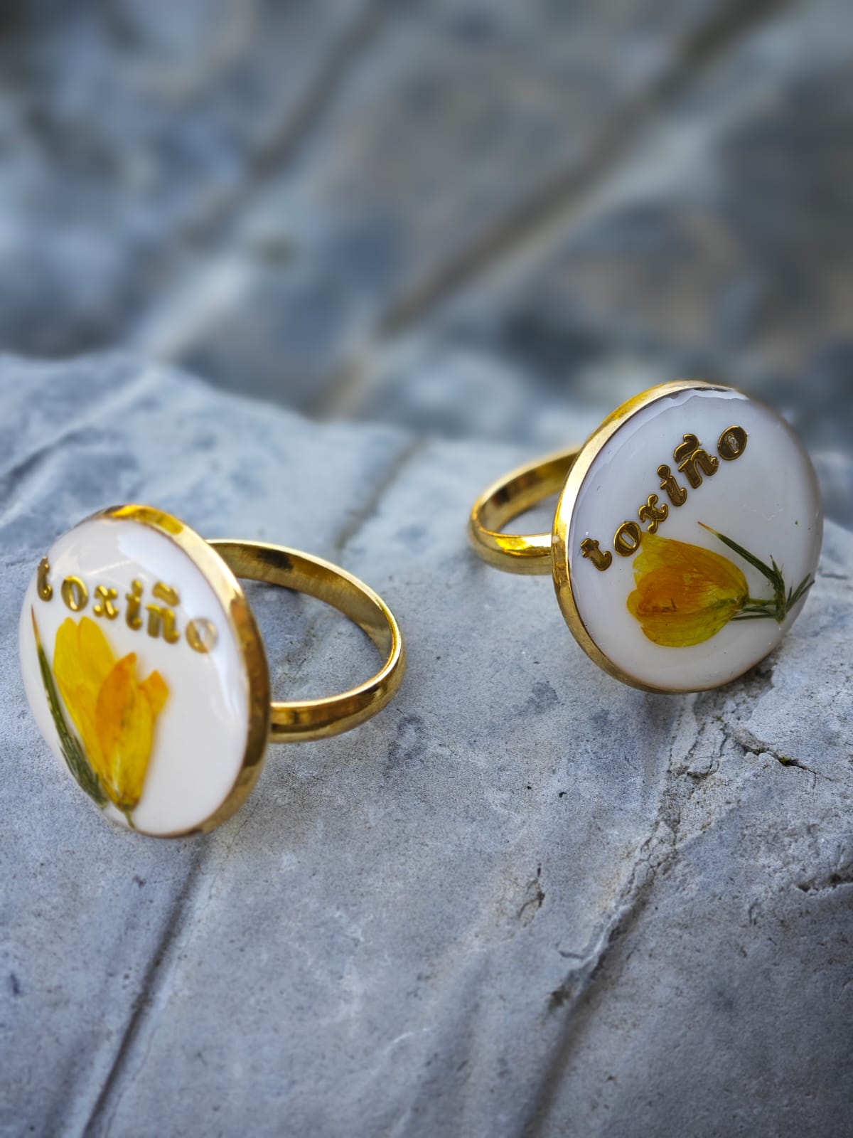 Anillo Toxiño - Imagen 7