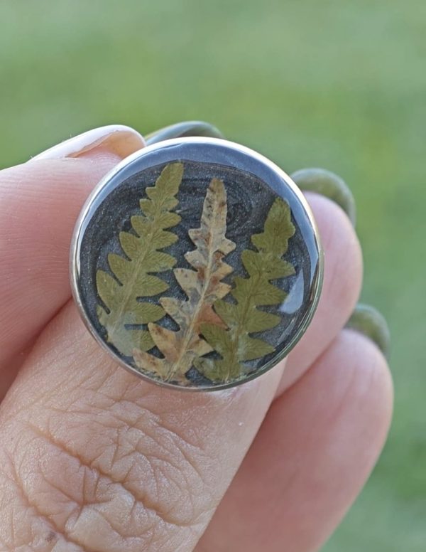 Anillo Fento