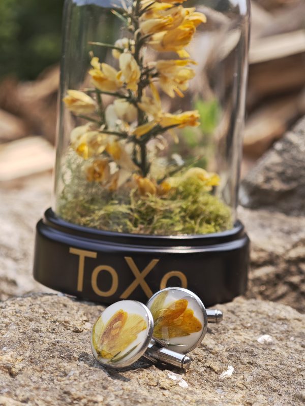 Gemelos ToXo - Imagen 3
