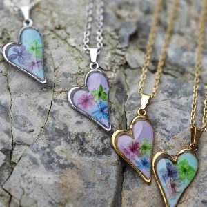 CORAZÓN DE SABUGUEIRO