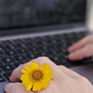 ANILLO PAMPULLO