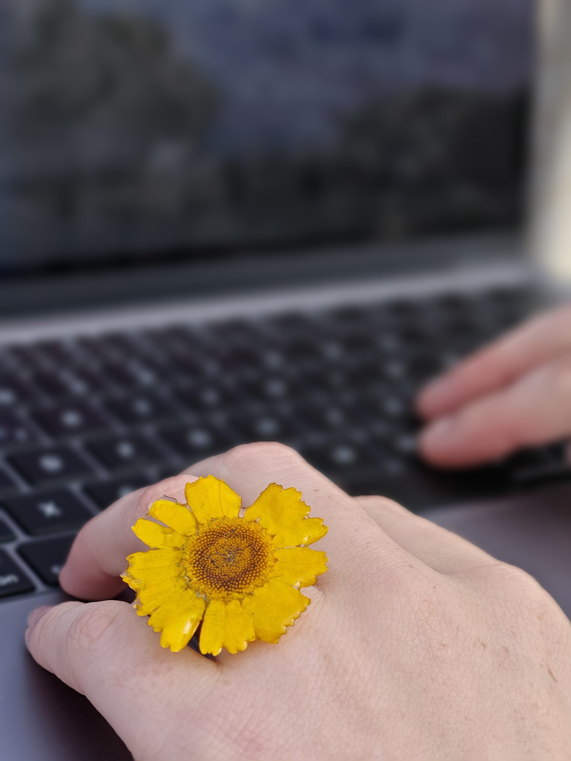 ANILLO PAMPULLO