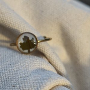 ANILLO ARCE